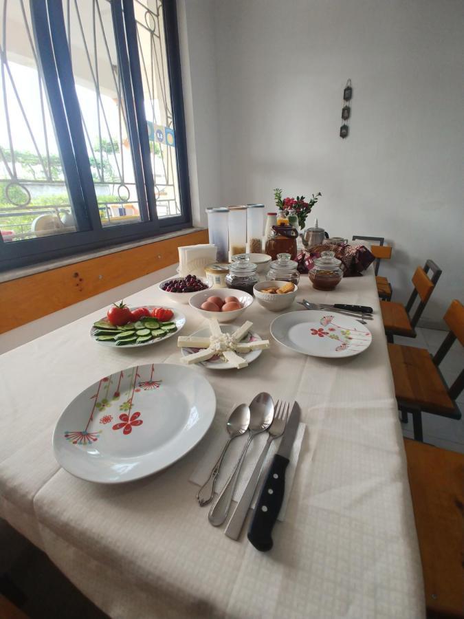 Green Garden Guesthouse Szkodra Zewnętrze zdjęcie